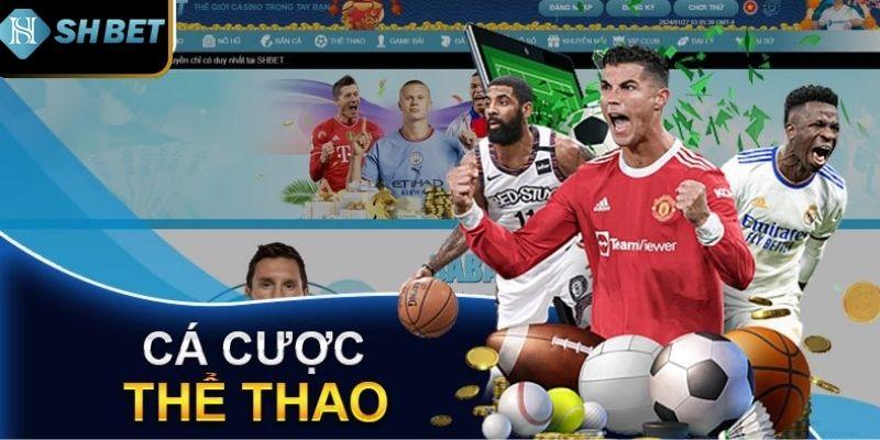 Thể thao SHBET - Live đặt kèo cược bóng đá